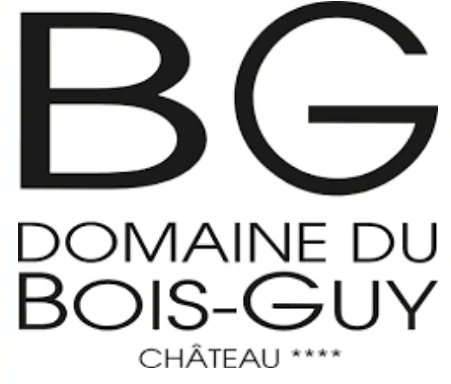 Domaine du Bois-Guy, Château